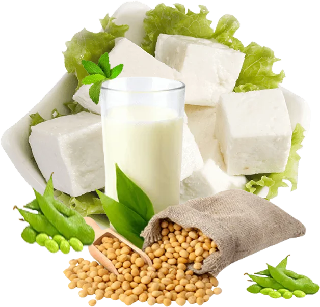 Creating the Best Dining Experience for Families.